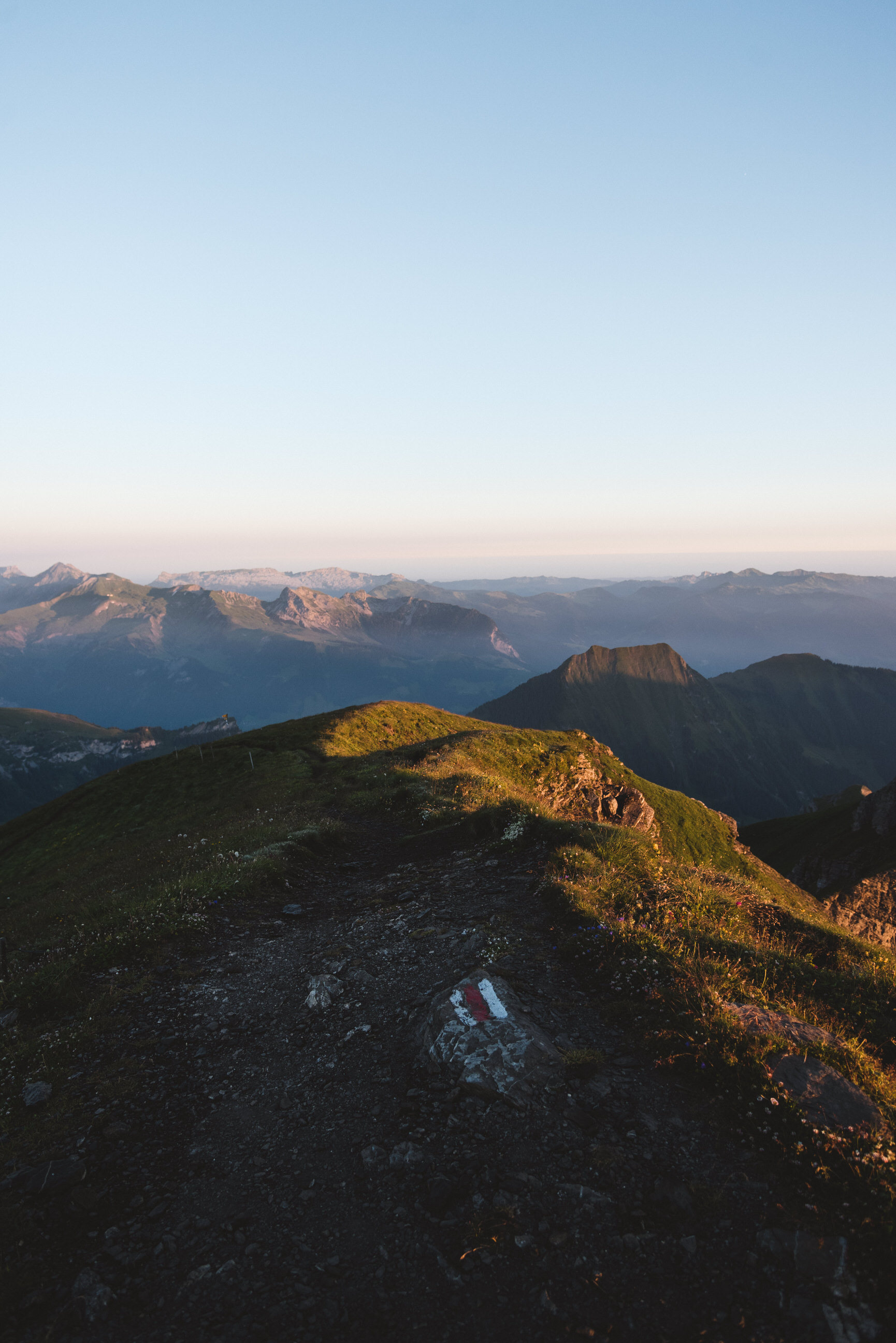 photo of summer sunrise